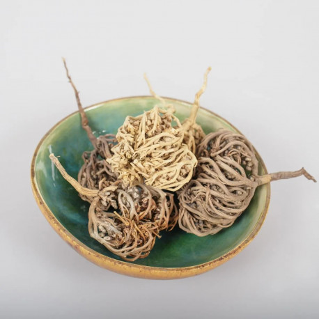 Anastatica hierochuntica - gyógynövény - 100g