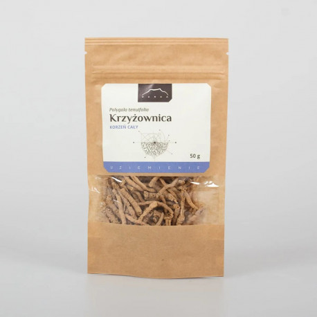 Polygala tenuifolia - 50 g