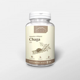 Chaga - Inonotus obliquus - kivonat (100 kapszula x 300mg)