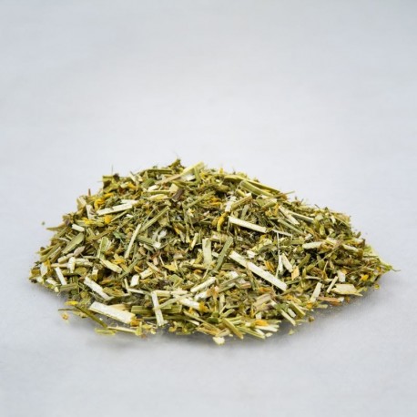 Komonica gyógykömény - Melilotus officinalis - 100g apróra vágva