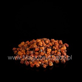 Rowan termés - Sorbus aucuparia - 50g összesen