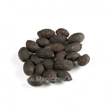 Saw Palmetto gyümölcs - Serenoa repens - összesen 50 g