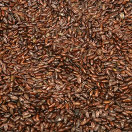 Psyllium magvak - Plantago psyllium - 100g őrölt