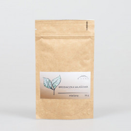 Usnea - szakállas - 50g vágott