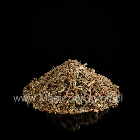 Polygonum hydropiper - Polygonum hydropiper - 100g apróra vágva