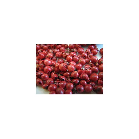 Piros paprika - Schinus terebinhifolius - 50g összesen